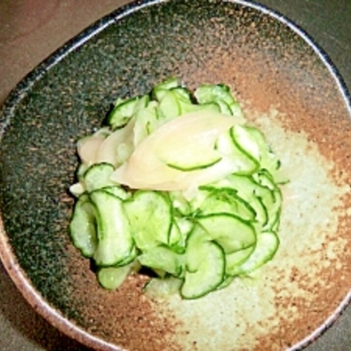 きゅうりと岩下の新生姜の即席漬け レシピ 作り方 By らきおっち 楽天レシピ